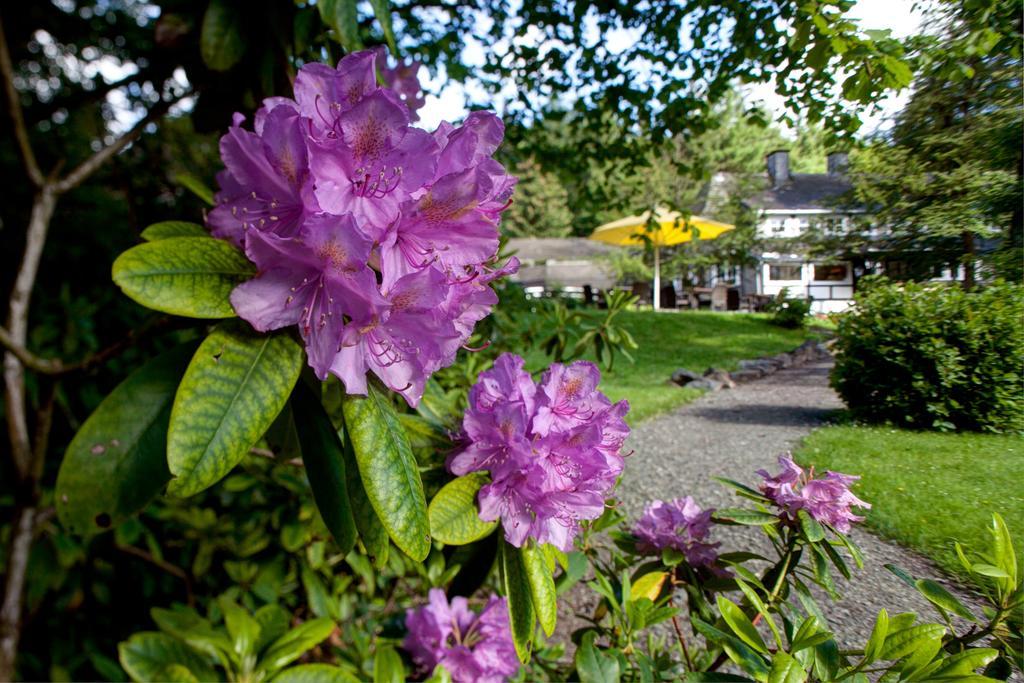 Romantik Hotel Stryckhaus Willingen (Upland) Exterior foto